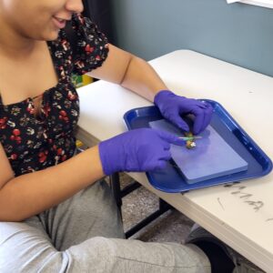 middle/high school biology mondays at 10am