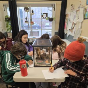 elementary biology wednesdays 10am