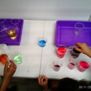 lower elementary (1st to 3rd grade) half day hybrid program