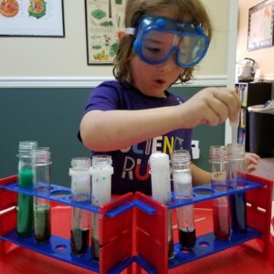 little scientists 8/17 8/21 daily