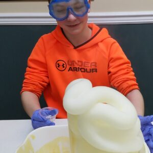 biology dissections camp august 24 28 daily