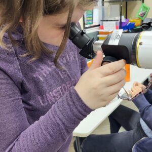 little scientists 8/17 8/21 daily