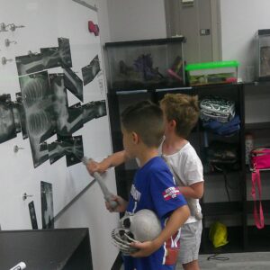 little scientists 8/17 8/21 daily